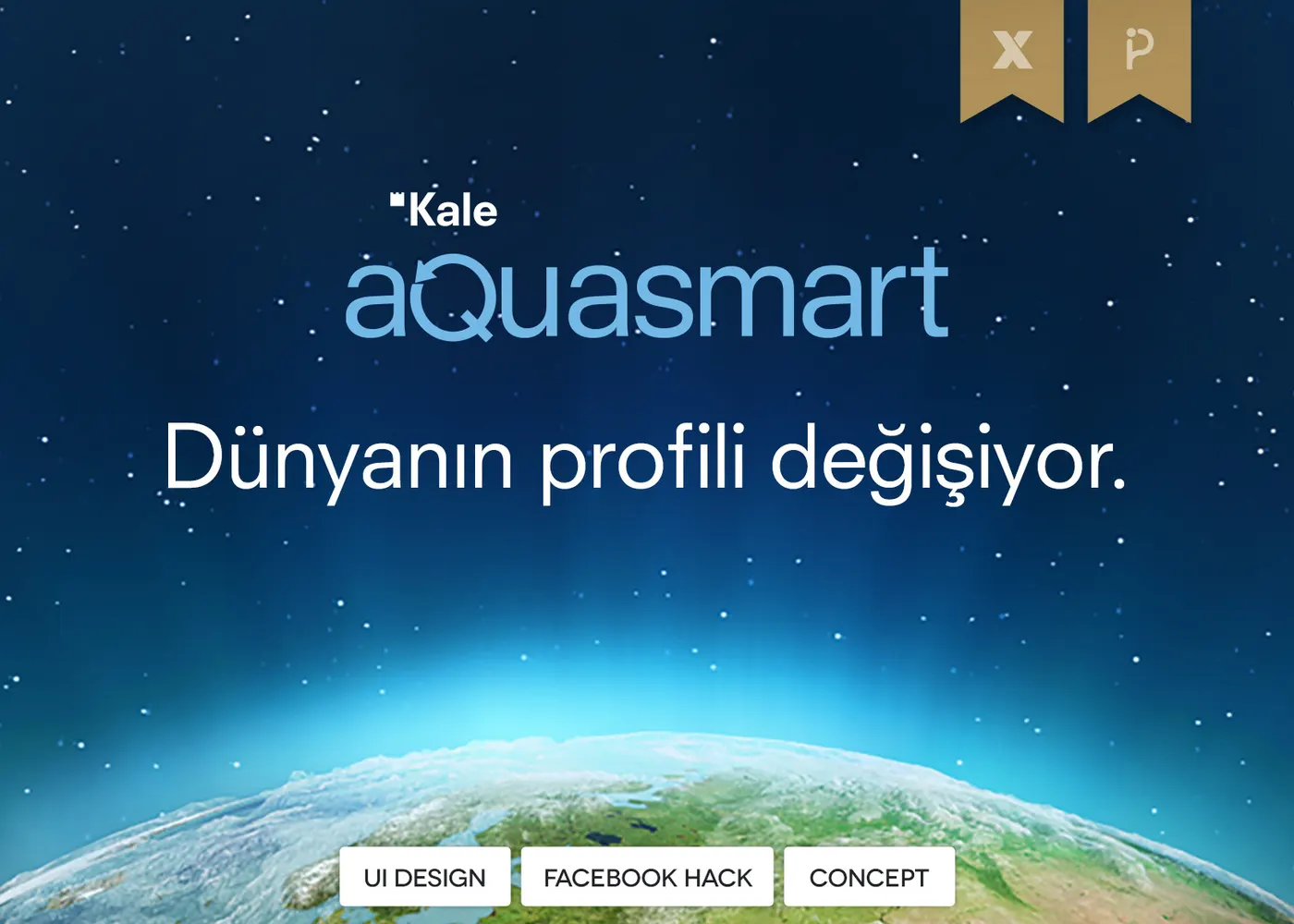 Kale cover from Ozer Kurt's work archive